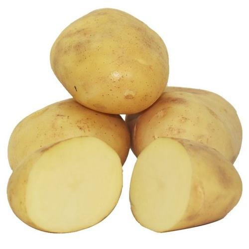 Chinese fresh potato 